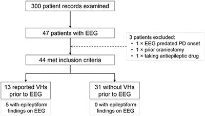 Parkinson's Disease With Visual Hallucinations Is Associated With Epileptiform Activity on EEG